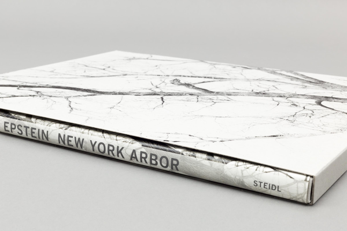 New York Arbor - Mitch Epstein - Steidl Verlag